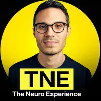 The Neuro Experience artwork