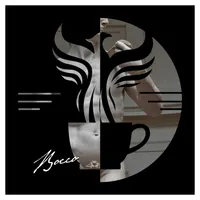The Amelia Project artwork