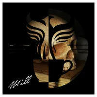 The Amelia Project artwork