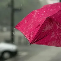 Sleepy Rain artwork