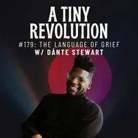 A Tiny Revolution artwork