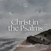 Journeywomen artwork