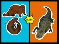 Smash Boom Best: A funny, smart debate show for kids and family artwork