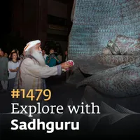 The Sadhguru Podcast - Of Mystics and Mistakes artwork