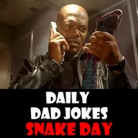 Daily Dad Jokes artwork