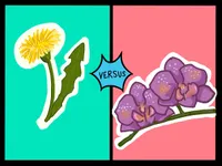 Smash Boom Best: A funny, smart debate show for kids and family artwork