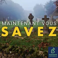 Maintenant, vous savez artwork