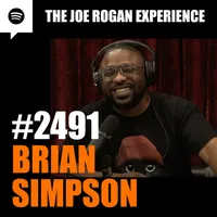 The Joe Rogan Experience artwork
