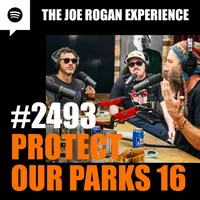 The Joe Rogan Experience artwork