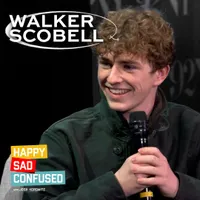 Happy Sad Confused artwork