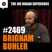 The Joe Rogan Experience artwork