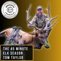 Bowhunter Chronicles Podcast artwork