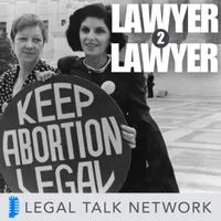Lawyer 2 Lawyer artwork
