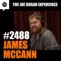 The Joe Rogan Experience artwork