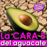 No es el fin del mundo artwork