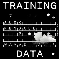 Training Data artwork