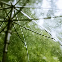 Sleepy Rain artwork