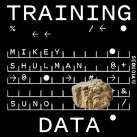 Training Data artwork