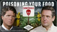 The Tucker Carlson Show artwork