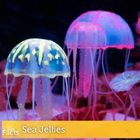 Fun Facts Daily artwork