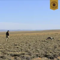 Birdshot Podcast artwork