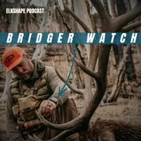 ElkShape artwork