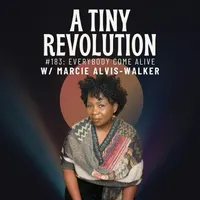 A Tiny Revolution artwork