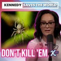 Kennedy Saves the World artwork
