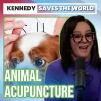Kennedy Saves the World artwork