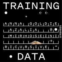 Training Data artwork