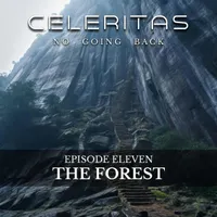 Celeritas artwork