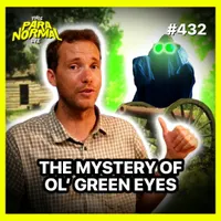 This Paranormal Life artwork
