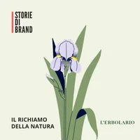 STORIE DI BRAND artwork