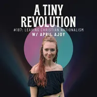 A Tiny Revolution artwork