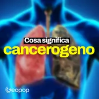 Geopop - Le Scienze nella vita di tutti i giorni artwork