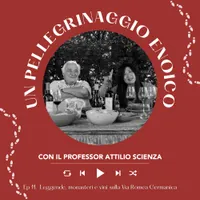 Italian Wine Podcast artwork