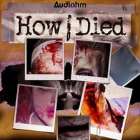 How i Died artwork