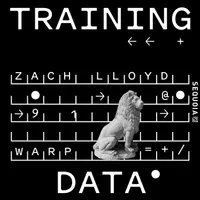 Training Data artwork