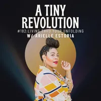 A Tiny Revolution artwork
