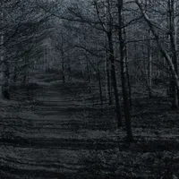 Bear Brook artwork