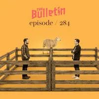 The Bulletin artwork