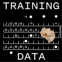 Training Data artwork