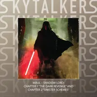 Skytalkers artwork