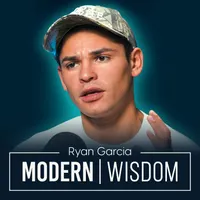 Modern Wisdom artwork