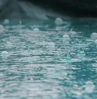 Sleepy Rain artwork