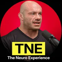 The Neuro Experience artwork