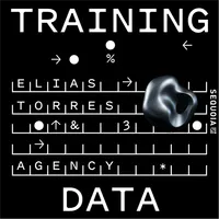 Training Data artwork