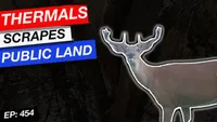 Truth From The Stand Deer Hunting Podcast artwork