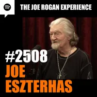 The Joe Rogan Experience artwork