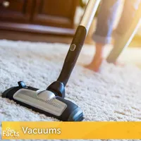 Fun Facts Daily artwork
